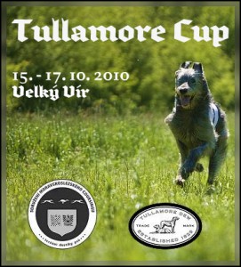 logo-tullamore-cup-2010.jpg